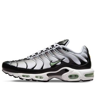 Nike Air Max Plus Seafoam DH4776-100