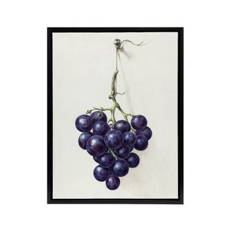 Artery8 Bunch of Blue Grapes Oil Jean Bernard Vintage Framed Canvas Wall Art in White | Size: W24 x H32