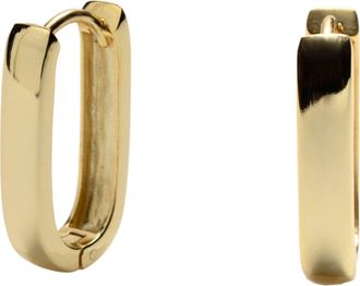 Argento Vivo Wide Oblong Hoop Earrings in Gold at Nordstrom