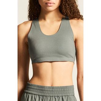 Craft Collective Padded Sports Bra in Leaf at Nordstrom, Size X-Small