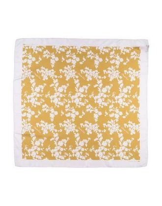 Elisabetta Franchi Scarves