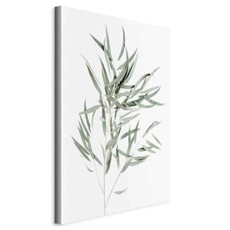 OEM Pintura - Eucalyptus Nicholii (1 Parte) Vertical