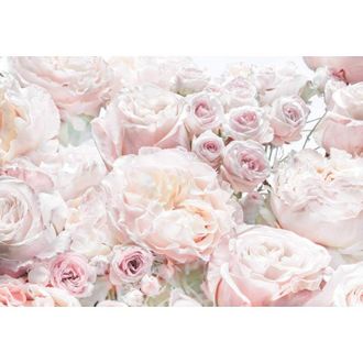 Komar Carta da parati con motivo floreale, 8 pezzi, motivo-8-976, 368 x 254 cm, colorata, romantica, per camera da letto - Komar
