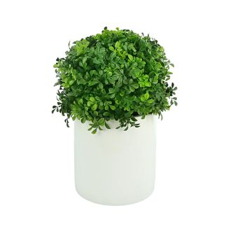 Creative Displays Inc. UV-Rated Boxwood Ball in Cylindrical Planter