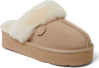 Dearfoams Fireside Melton Genuine Shearling Platform Scuff Slipper in Sand at Nordstrom, Size 10