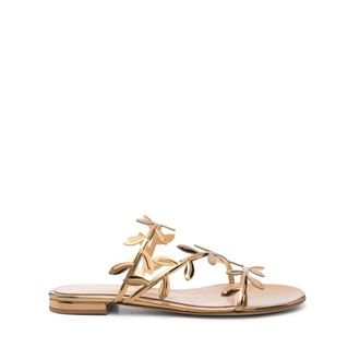 Gianvito Rossi Leaf Motif Almond Open-Toe Sandal - female - Gianvito Rossi - Flat Sandals - Yellow - 7 UK - Shoes