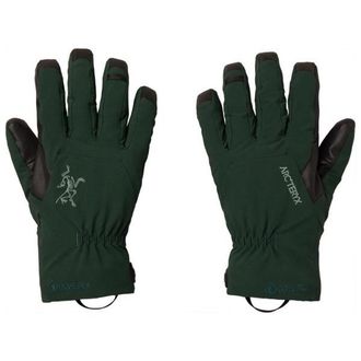 Arc'teryx Venta GTX Glove Handschuhe - Unisex | gr&uuml;n