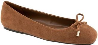 BCBGeneration Hartly Bow Ballet Flat in Brown at Nordstrom, Size 8.5