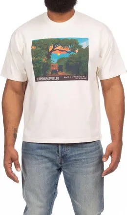 Billionaire Boys Club Wild Short Sleeve Graphic T-Shirt in Whisper White at Nordstrom, Size Xx-Large