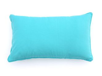 Kees Smit Lendekussen 50x30cm