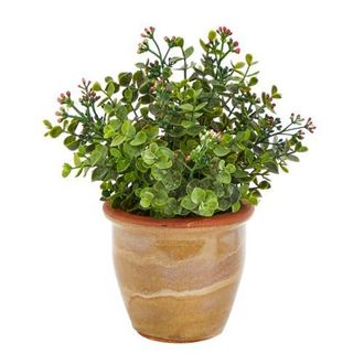 Nearly Natural 10-in Eucalyptus and Sedum Succulent Artificial Plant in Ceramic Planter in Green at Nordstrom