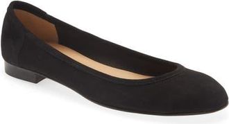 andrea carrano Bambolina Ballet Flat in Black Suede at Nordstrom, Size 40.5
