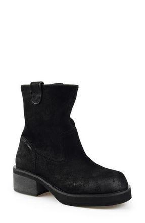 Candie's Ciarra Western Bootie in Black at Nordstrom, Size 11