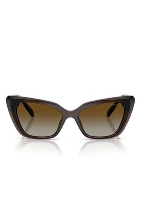 Swarovski 54mm Polarized Cat Eye Sunglasses in Transparent Brown /Polar at Nordstrom