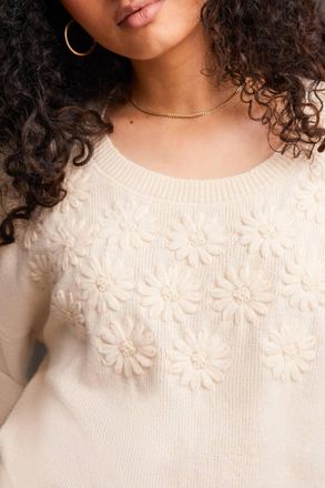 Tribal Long Sleeves Crew Neck Sweater With Embroidery In Moonstone