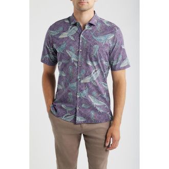 Tori Richard Marine Mosaic Button Down Shirt in Grape at Nordstrom, Size Xx-Large