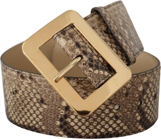 Dolce & Gabbana Womens Brown Exotic Wide Waist Leather Gold Metal Buckle Belt Python