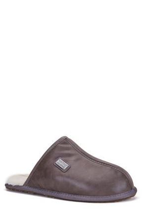 Australia Luxe Twinface Sheepskin Genuine Shearling Lined Scuff Slipper in Gray Leather at Nordstrom Rack, Size Small