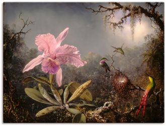 Artland Wandbild »Cattleya Orchidee und drei Kolibris.« Blumenbilder 1 Stk. tlg. als Leinwandbild, Poster in verschied. Grössen