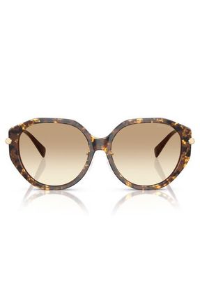 Michael Kors Jinan 56mm Gradient Irregular Sunglasses in Brown Pearlized Tortoise at Nordstrom