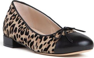 BEAUTIISOLES Beatrice Ballerina in Brown at Nordstrom, Size 35.5