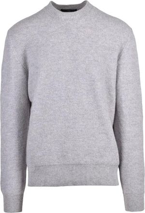 Daniele Fiesoli Truien & Vesten, Heren, Grijs, L, Wol, Maglione Girocollo