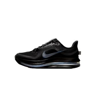 Nike Pegasus Premium Black / Black - Metallic SIlver HQ2593-004 Womens