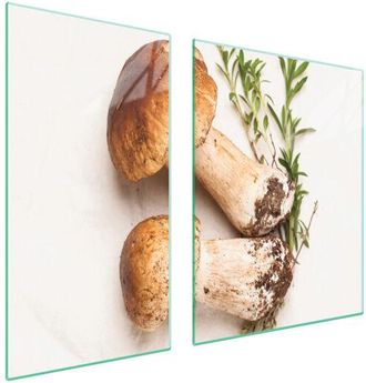 OEM Placa Protectora De Vidrio Para Estufa 90x52 Setas