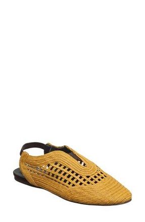 Antelope Daisy Slingback Flat in Mustard at Nordstrom Rack, Size 10