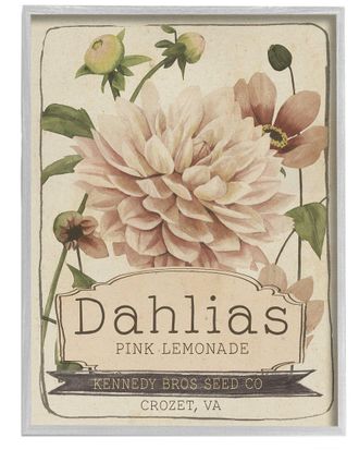Stupell Industries Pink Lemonade Dahlias Vintage Floral Seed Packet By Studio W Wall Art