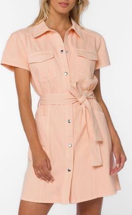 Velvet Heart Fonda Belted Utility Shirtdress in Apricot at Nordstrom Rack, Size X-Large