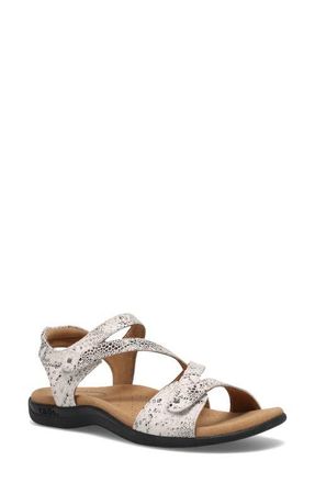Taos Big Time Ankle Strap Sandal in Grey Snake at Nordstrom, Size 10