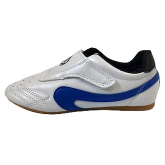 Generic Unisex Taekwondo Shoes, Martial Arts Sports Boxing Karate Taichi Lightweight for Kids Women Men Adult(Blue,10.5 UK Child)