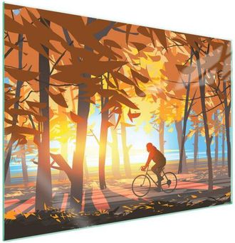 OEM Placa Protectora De Vidrio Para Estufa 70x52 Las