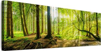 OEM Cuadro Sobre Lienzo Italiano De 120 X 40 Cm - Estilo Ecl&eacute;ctico - Naturaleza Cuadro Sobre Lienzo Italiano De 135 X 45 Cm - Estilo Ecl&eacute;ctico - Naturalez