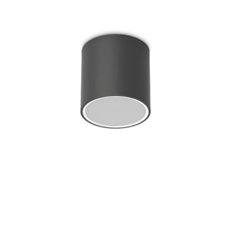 Netlighting Techo 15.3cm Outdoor Surface Mounted Downlight Black IP54