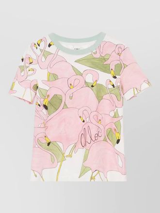 Chlo&eacute; baby fit t shirt logo cotton jersey
