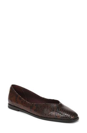 Franco Sarto Tesia Flat in Dark Brown at Nordstrom, Size 5.5