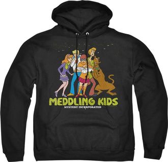 Gildan Scooby Doo Meddling Kids Adult Pull Over Drawstring Hoodie