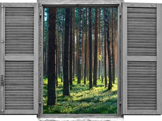 Queence Wandtattoo »Wald« Wandsticker, Wandbild, selbstklebend, 3D, Fenster