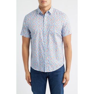 Johnston & Murphy Logan Cocktail Print Short Sleeve Cotton Blend Button-Up Shir in Blue Multi Happy Hour at Nordstrom, Size Xxx-Large