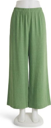 Z Supply Womens Scout Linen Rayon Pant In Green