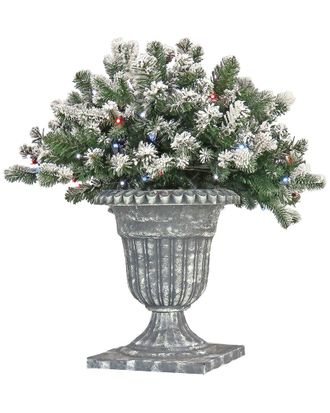 National Tree Company 24In Snowy Sheffield Spruce Porch Bush With Twinkly Led Lights