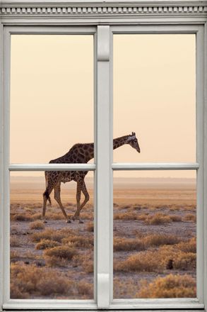 Queence Wandsticker »Giraffe« Wandsticker, Wandbild, selbstklebend, 3D, Fenster