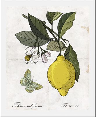 Queence Bild »Enyo« Essen Kunst Lebensmittel Obst Obst Bilder Schmetterlinge Schriftzug 1 Stk. tlg. gerahmt