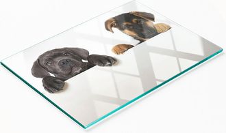 OEM Tabla De Servir De Cristal Para Cocina Con Dibujos De Tres Cachorros, 80x52 Cm