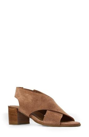 Aquatalia Dovera Weatherproof Sandal in Clay Suede at Nordstrom, Size 6.5