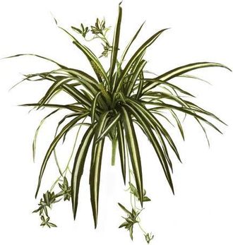 Nearly Natural 23-in Spider Plant Bush in Green at Nordstrom