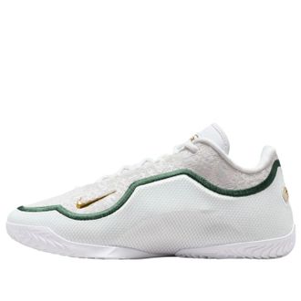 Nike LeBron 23 From This Point Forward HJ5629-101