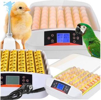 OEM Incubadora De Huevos Autom&aacute;tica, Incubadora, Cr&iacute;a De Aves De Corral, Ovoscopio 56